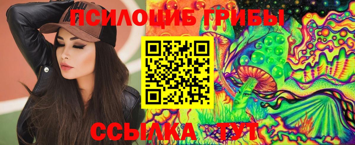 Псилоцибиновые грибы GOLDEN TEACHER Лениногорск