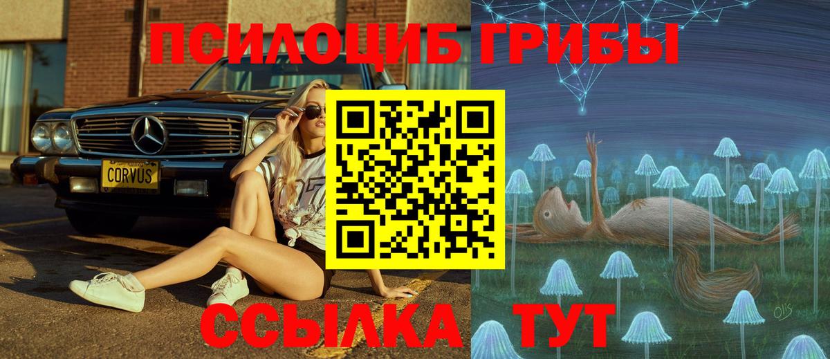 Лениногорск  Галлюциногенные грибы Psilocybine cubensis  Псилоцибиновые грибы Psilocybe  Вход с VPN 